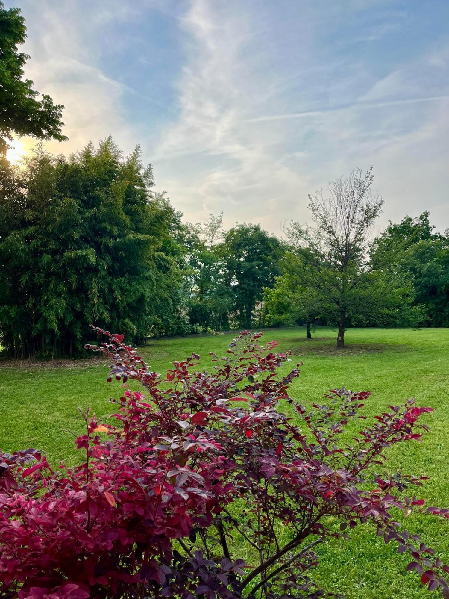 Le Mansarine Charme B&B Castellaro  Dış mekan fotoğraf